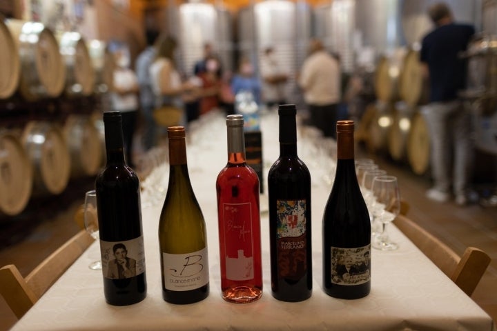 Vinos Bodega Marcelino Serrano