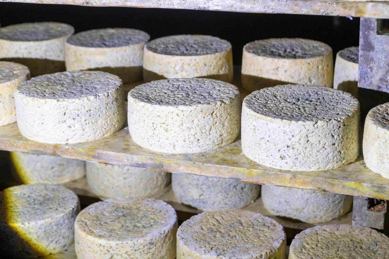 Historia de Rosa Bada, la quesera que creó el queso más caro del mundo
