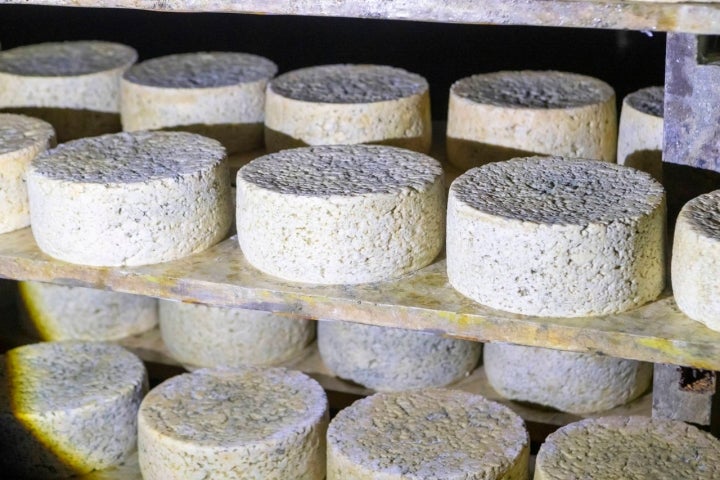 Quesería Los Puertos apertura queso en estantería
