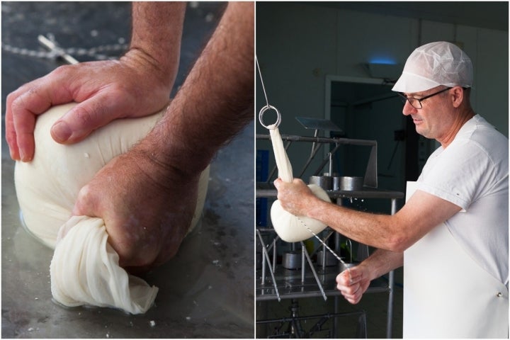 El suero de flor de alcachofa se usa para cuajar el queso.