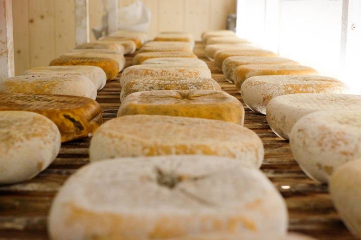 Según el nivel de maduración que se pretenda el queso puede permanecer en la cava desde dos meses hasta un año.