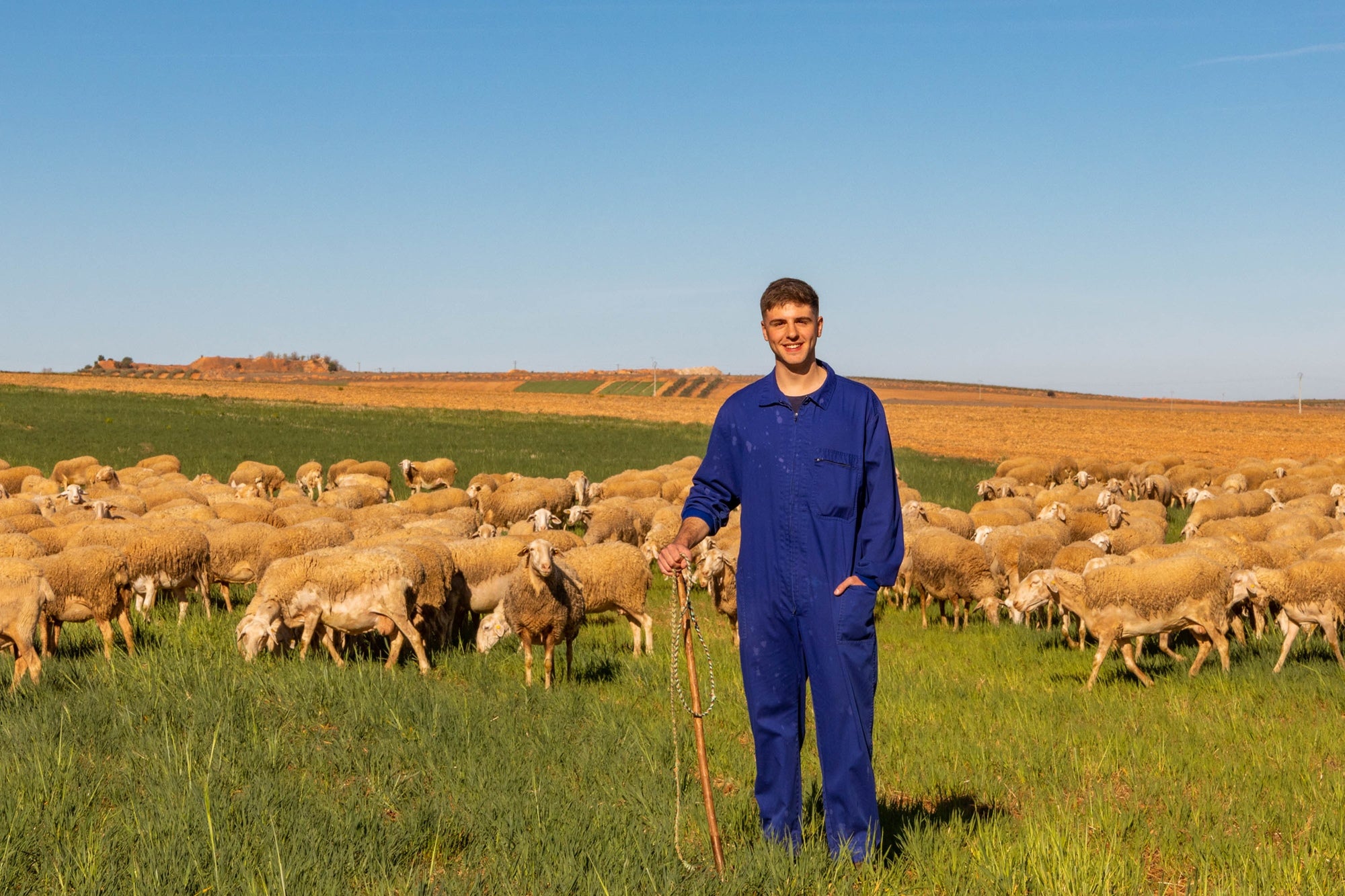 Ruta del queso manchego entre Manzanares y La Solana (Ciudad Real) | Guía  Repsol