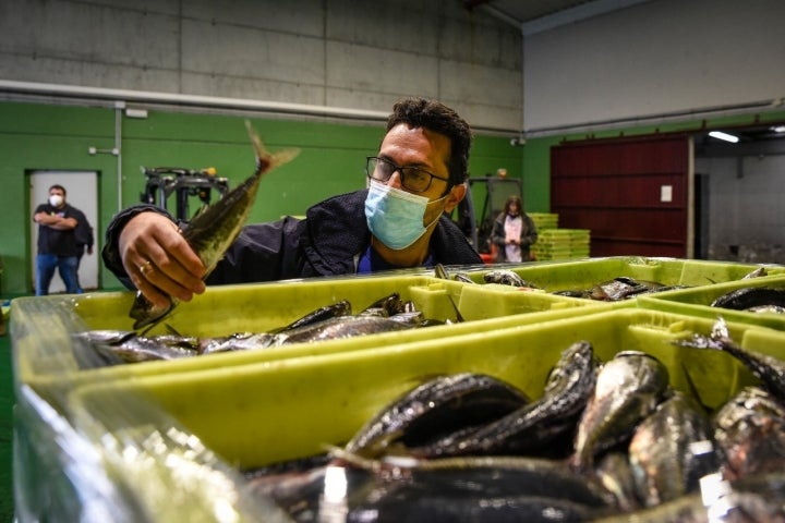 Argimiro Blanco con una sardina de Portosín en la mano.