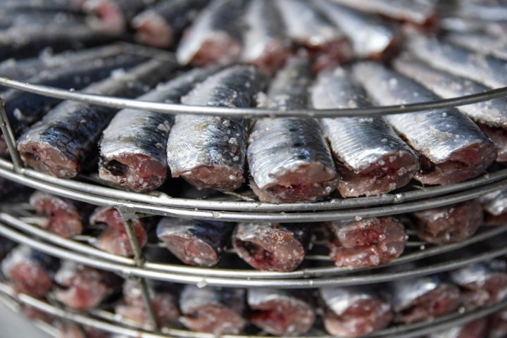 Sardinas cubiertas de sal.