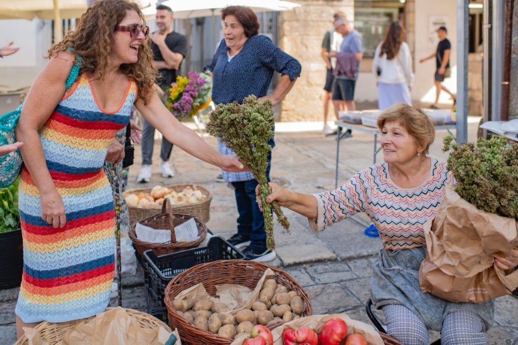 Los orballos de agosto que garantizan el profundo aroma del orégano del país Los orballos de agosto que garantizan el profundo aroma del orégano del país
