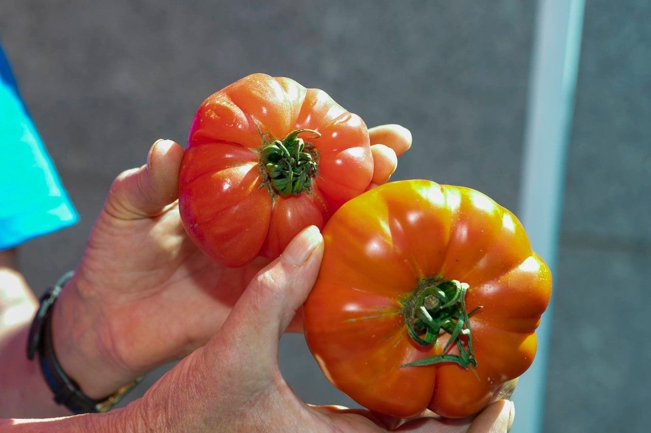 El fruto de una huerta con historia.