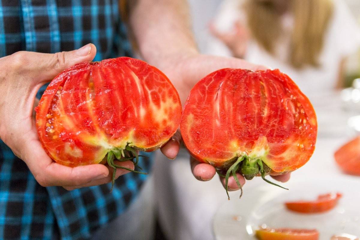 Estos tomates sí saben a tomate