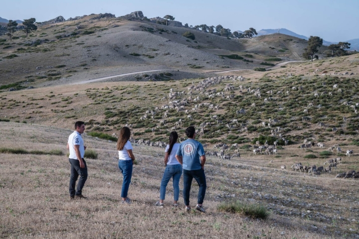 El relevo generacional está asegurado en la Sierra de Segura.