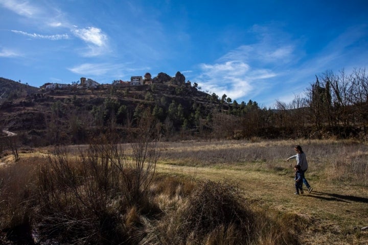 Bosque mediterráneo