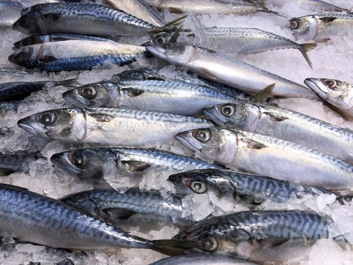 Verdeles en la pescadería