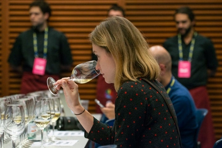 La uva albillo mayor es el primer vino blanco incluido en la D.O Ribera del Duero.