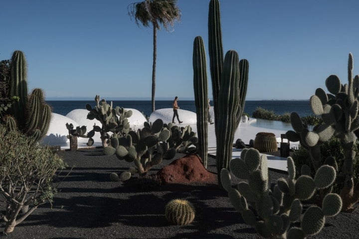 Jardín de la terraza.