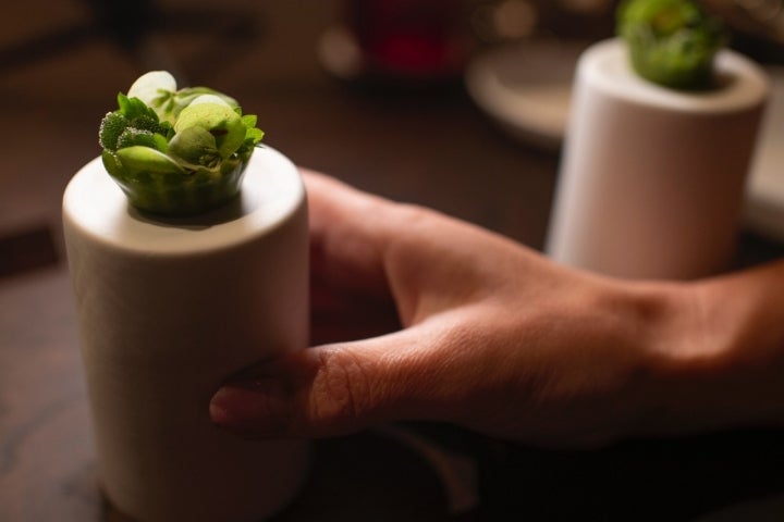 Cupcake de lechuga con yema de codorniz.