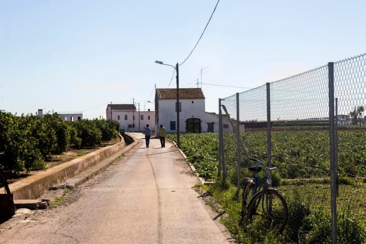 paisaje de la huerta valenciana de meliana