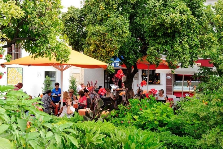 Maravilloso el entorno de la terraza en la plaza de los Naranjos.