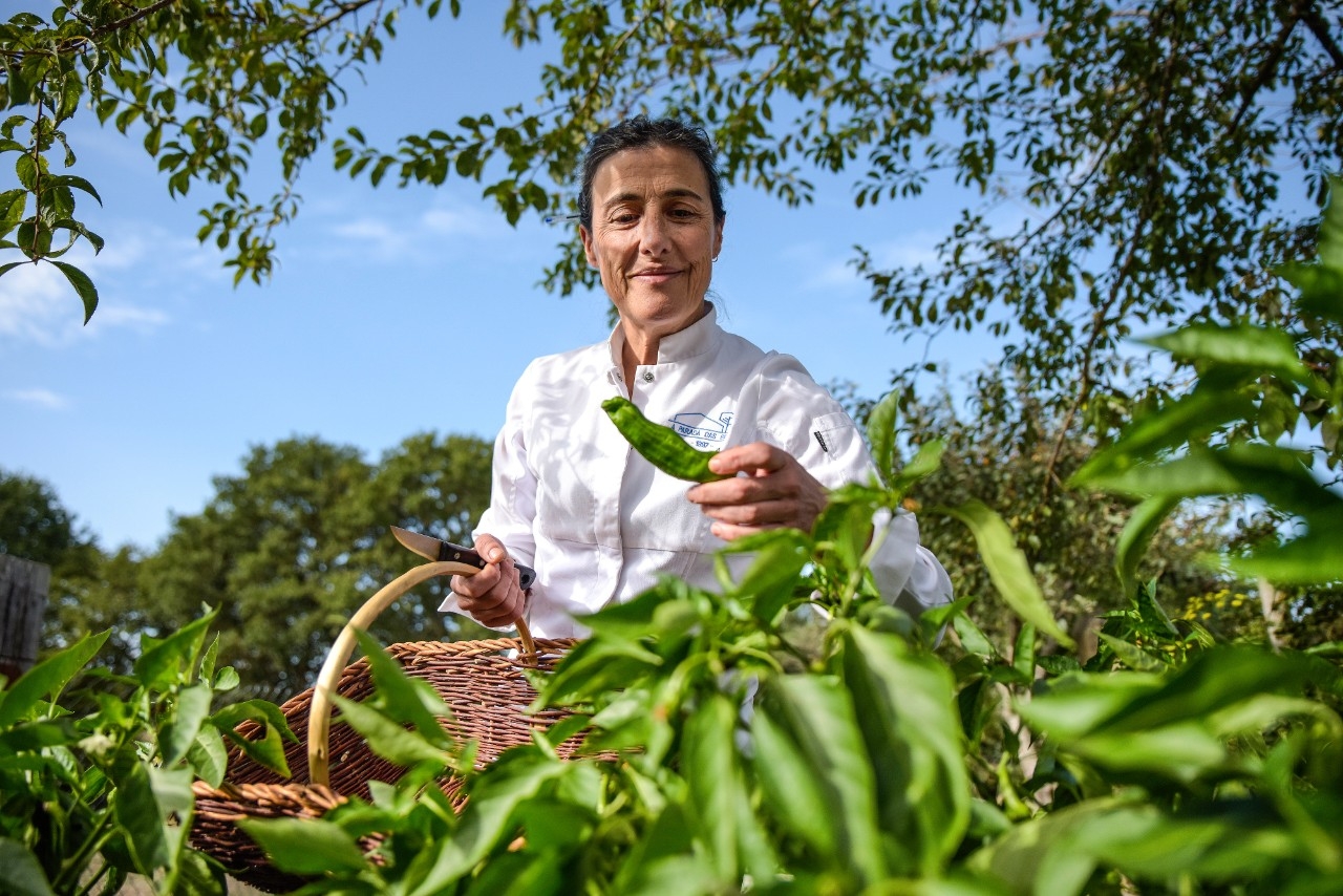 Las cocineras del Camino de Santiago