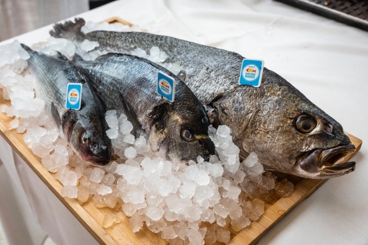 Ejemplares de corvina, lubina y dorada frescos