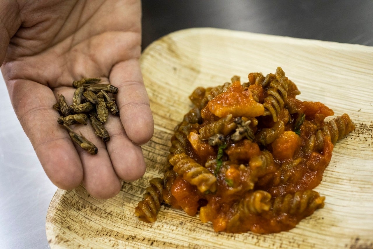 Catas de bichos, hojaldre sin gluten y pescados de descarte