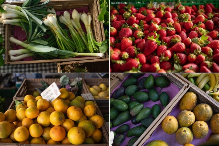 Frutas y hortalizas frescas y ecológicas.