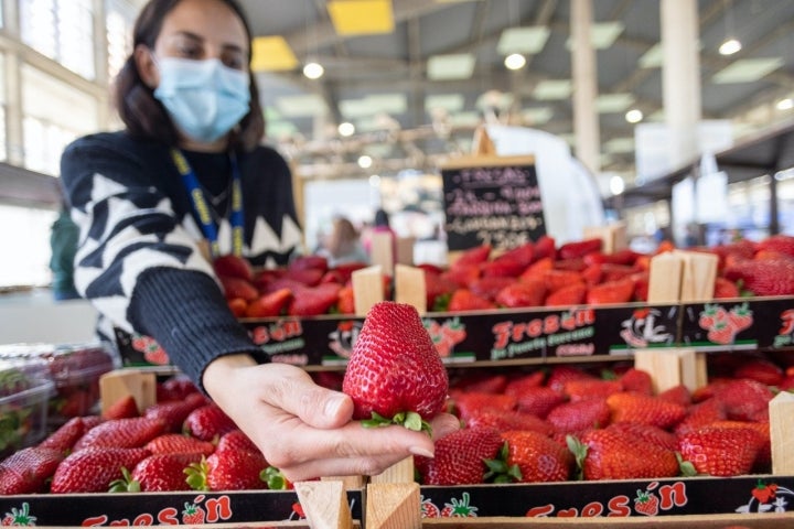 Cádiz BienMeSabe: fresas de Puerto Serrano