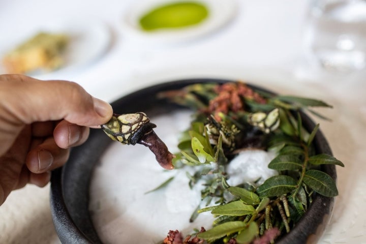 Los percebes se cocina en pocos segundos y delante del comensal.