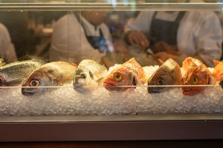El pescado del día, siempre fresco.