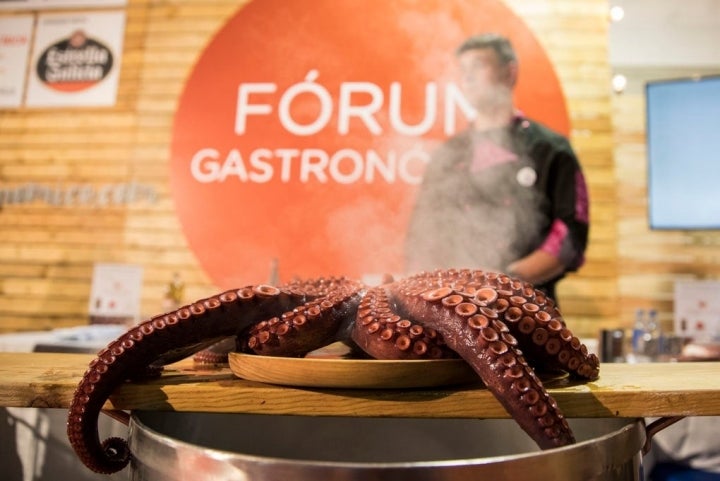 Cocinando pulpo en el Fórum Gastronómico