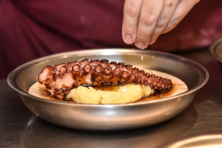 Pulpo