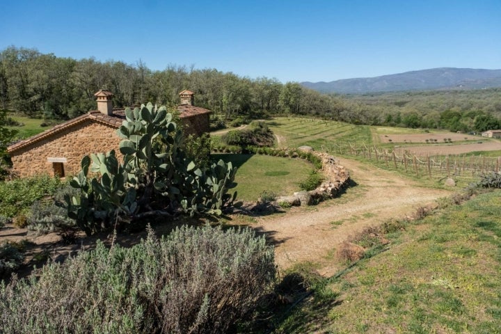 Vista parcial de la Casa de la Parra, antiguo secadero de pimiento.