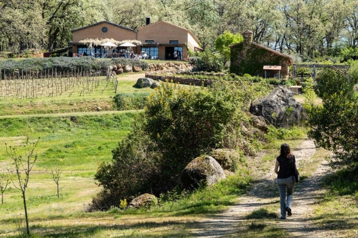 Vista general de los edificios que componen Los Confites.