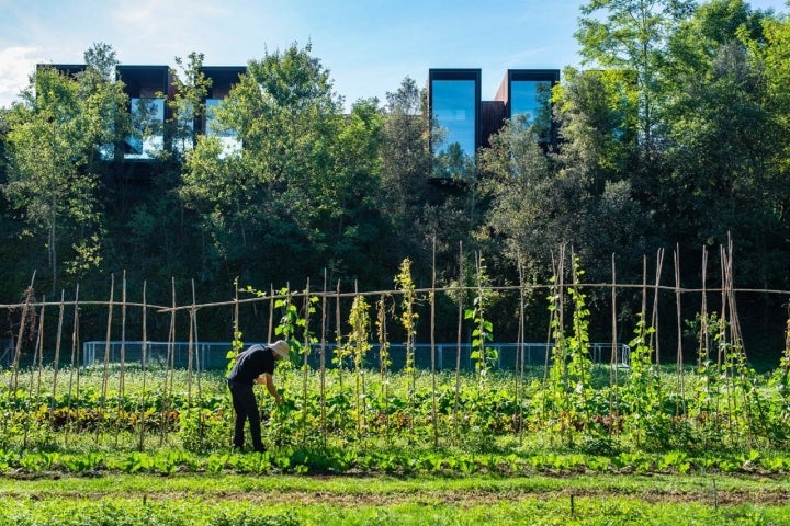 Menú otoño Les Cols: casa familiar, laboratorio I+D en el huerto