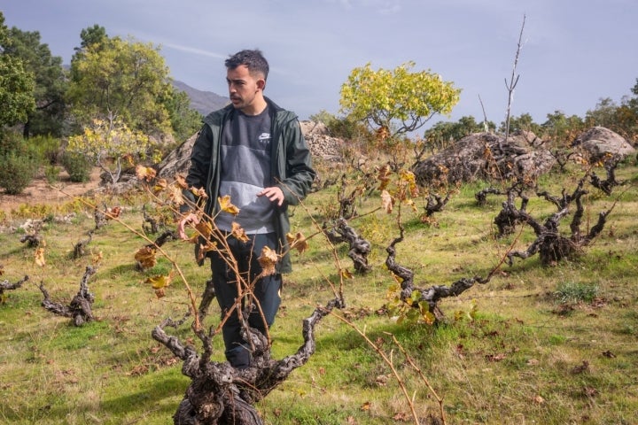 Carlos Casillas en la viña.