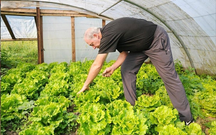 El chef elige personalmente el producto más fresco. Foto: Etxebarri.