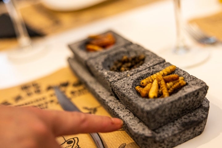 El Mexicano Vitoria El Mexicano Vitoria