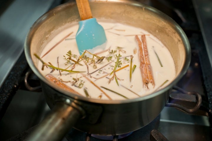 Algunas malas hierbas como el hinojo y sus semillas sirven para infusionar leche.