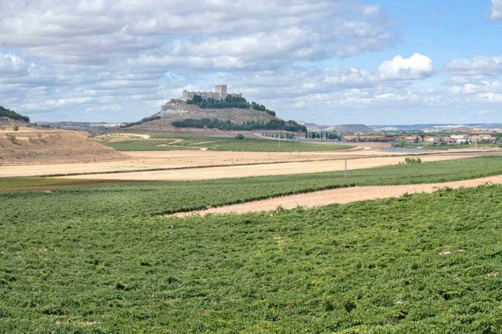 Peñafiel visto desde el restaurante.