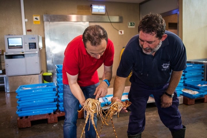 Manuel Alonso seleccionando el producto para su cocina en la lonja de Gandía.