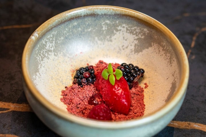 Postre de frutos rojos, helado de mora y brote de albahaca genovesa.