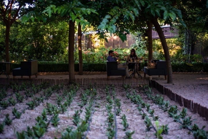 La sobremesa en la huerta suele alargarse varias horas.