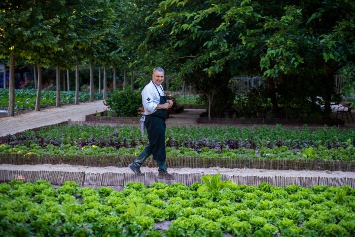 Ricardo Álvarez paseando entre las parcelas de lechugas del huerto.