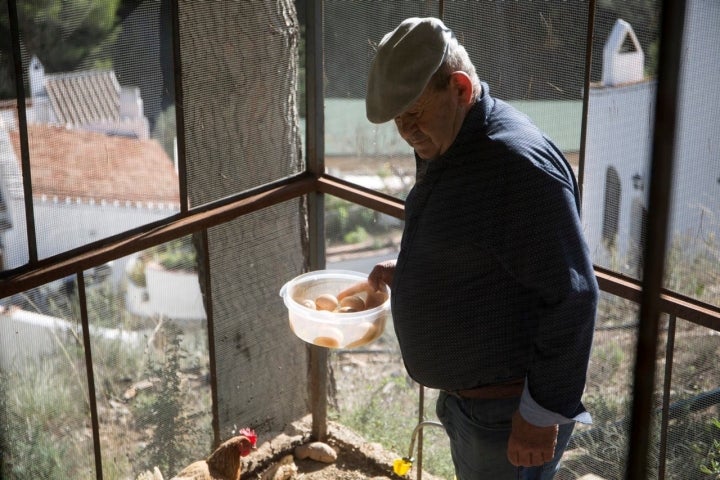 Antonio padre recoge los huevos que se usarán en la cocina.