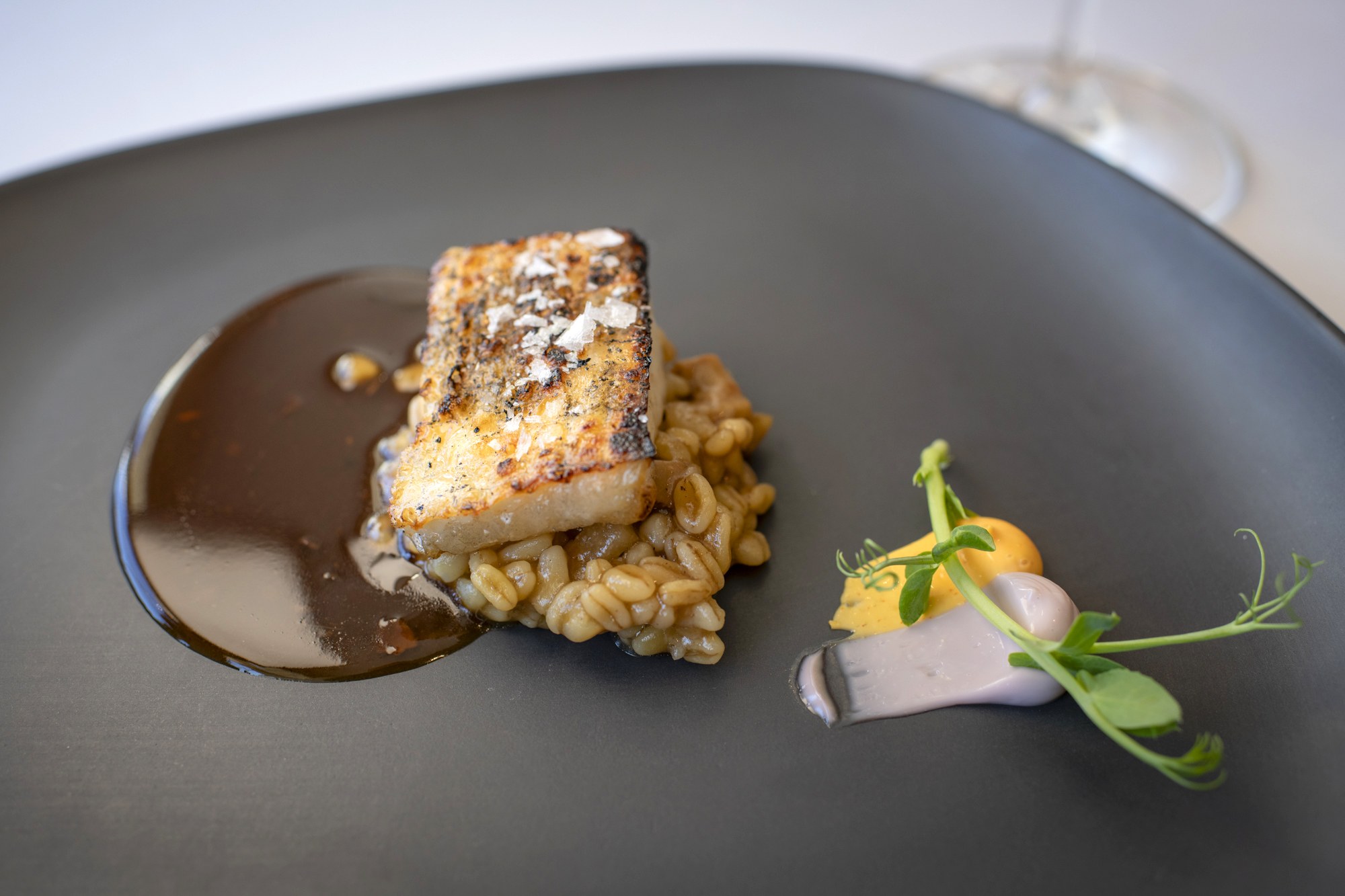 Rodaballo. Risotto trigo, boletus y jugo.
