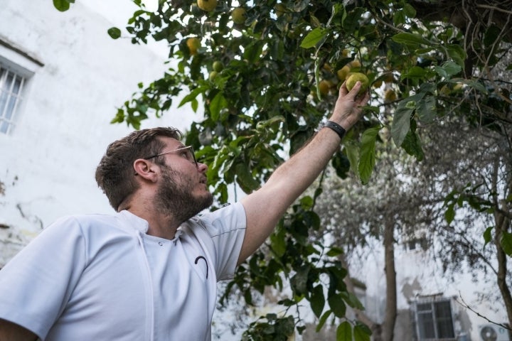 Álvaro se abastece del limonero del jardín secreto.