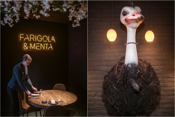 Comedor y avestruz del restaurante Farigola&Menta (Valencia):