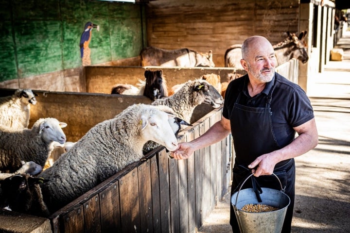 Aquí muchos animales están acostumbrados a comer de la mano.