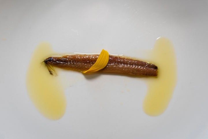 Anchoa del Cantábrico con flor de tupinambo.