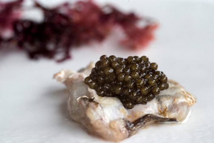 Cocochas a la brasa con caviar y alga de musgo estrellado.