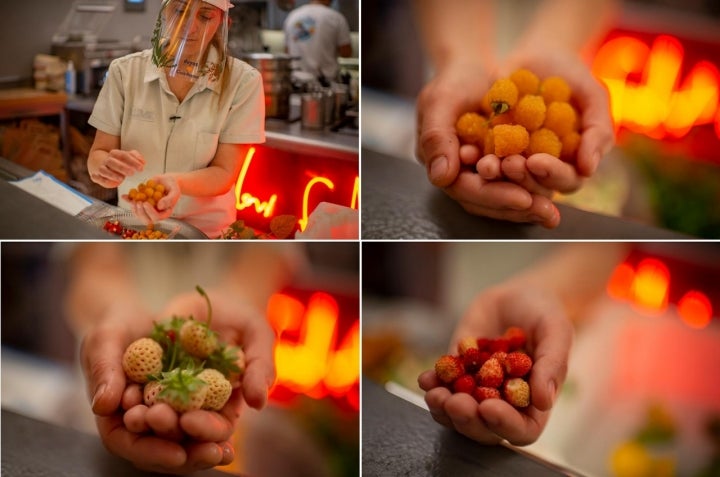 Fotomontaje con diferentes frutas en la cocina de Lucía Freitas.