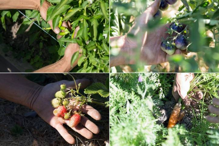 Restaurante Refectorio: hortalizas, verduras y frutas del huerto ecológico