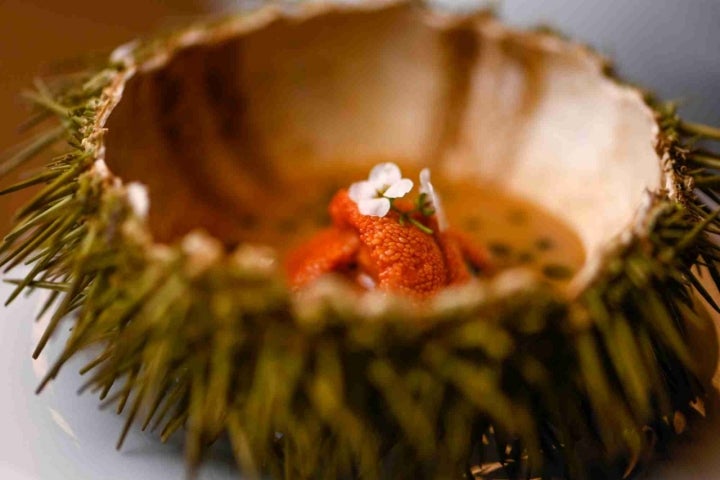 Aperitivo de erizo de mar.